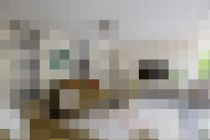 Nemelaerlaan 7 Spijkenisse thumbnail 18
