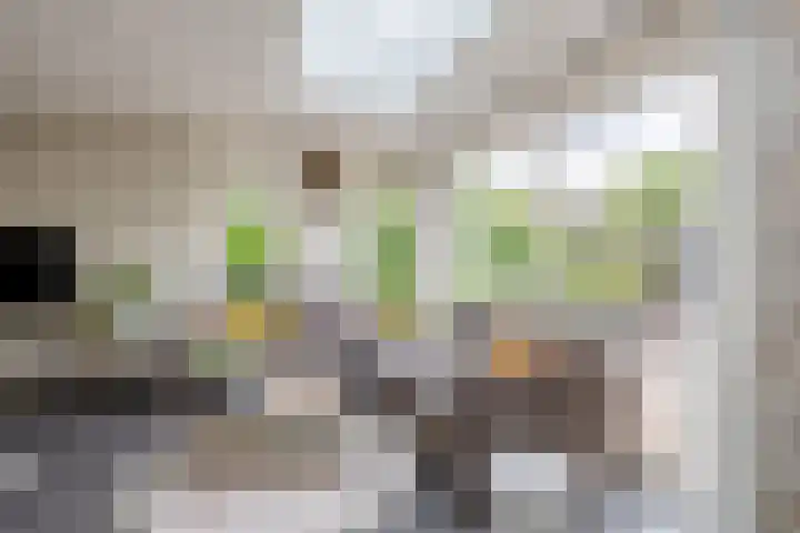 Nemelaerlaan 7 Spijkenisse thumbnail 19