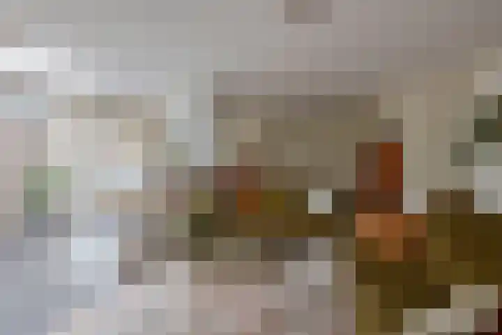 Nemelaerlaan 7 Spijkenisse thumbnail 21