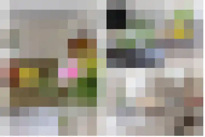 Nemelaerlaan 7 Spijkenisse thumbnail 22