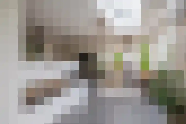 Nemelaerlaan 7 Spijkenisse thumbnail 25