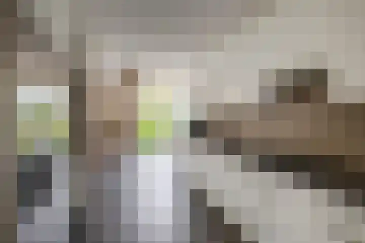 Nemelaerlaan 7 Spijkenisse thumbnail 26