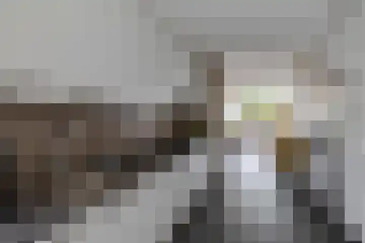 Nemelaerlaan 7 Spijkenisse thumbnail 27