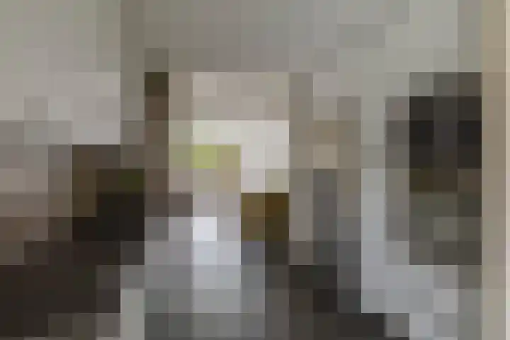 Nemelaerlaan 7 Spijkenisse thumbnail 28