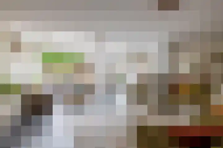 Nemelaerlaan 7 Spijkenisse foto 3