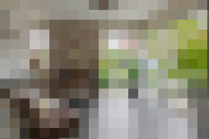 Nemelaerlaan 7 Spijkenisse thumbnail 30
