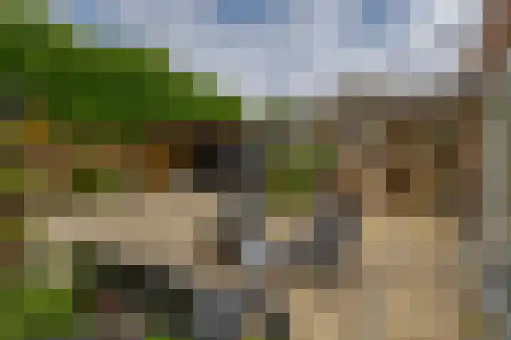 Nemelaerlaan 7 Spijkenisse thumbnail 32