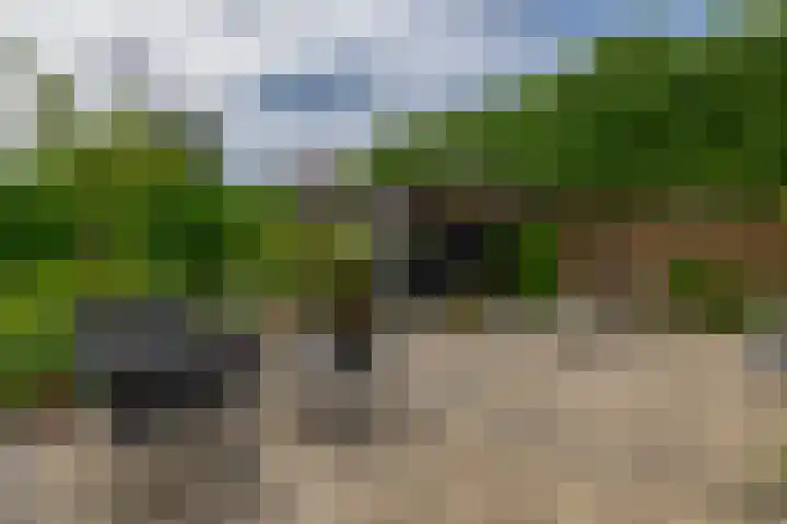 Nemelaerlaan 7 Spijkenisse thumbnail 33