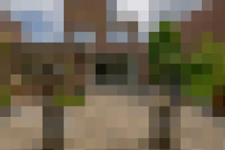 Nemelaerlaan 7 Spijkenisse thumbnail 34