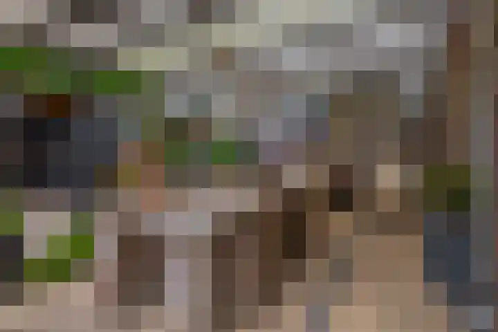 Nemelaerlaan 7 Spijkenisse thumbnail 36