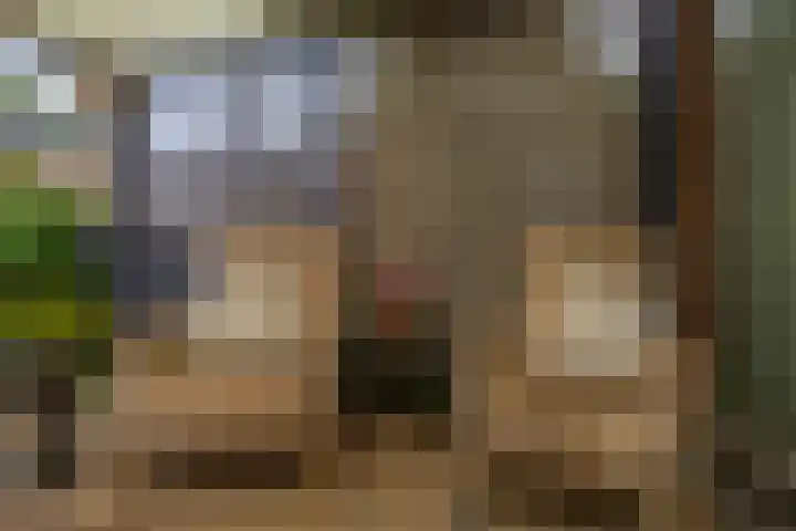 Nemelaerlaan 7 Spijkenisse thumbnail 37