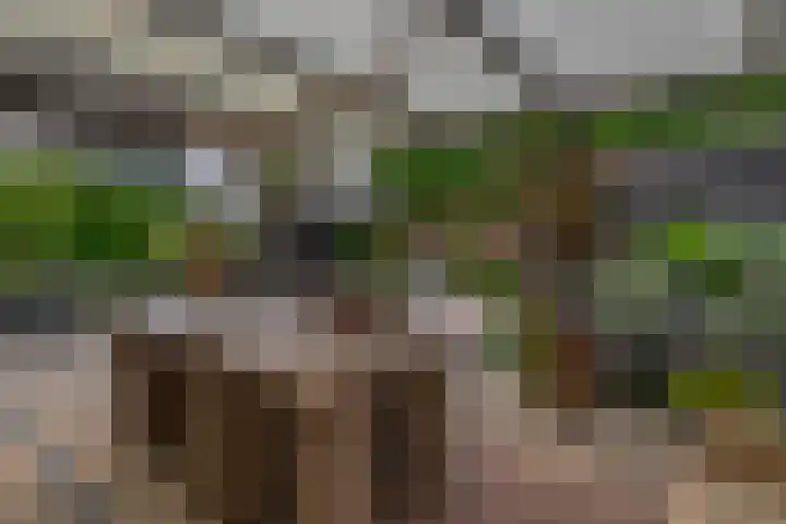 Nemelaerlaan 7 Spijkenisse thumbnail 38