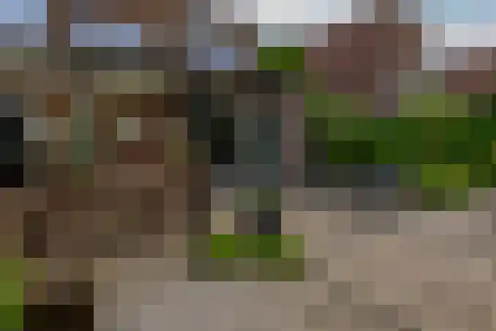 Nemelaerlaan 7 Spijkenisse thumbnail 40