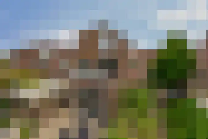Nemelaerlaan 7 Spijkenisse thumbnail 41