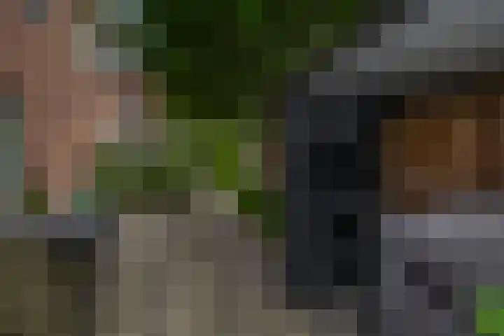 Nemelaerlaan 7 Spijkenisse thumbnail 42