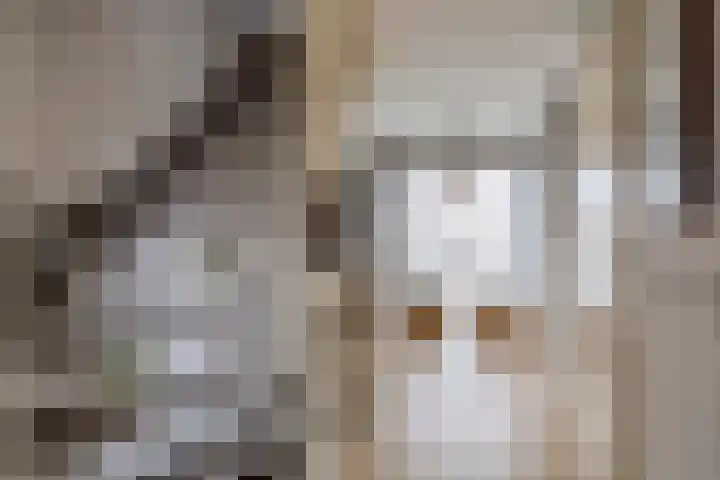 Nemelaerlaan 7 Spijkenisse thumbnail 43
