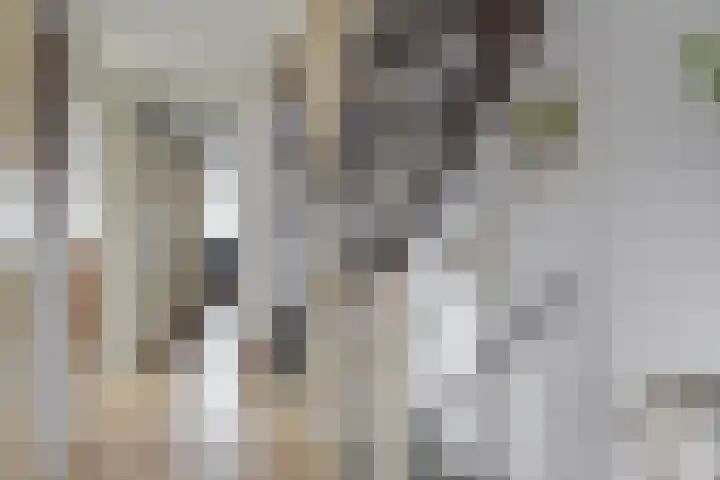 Nemelaerlaan 7 Spijkenisse thumbnail 44