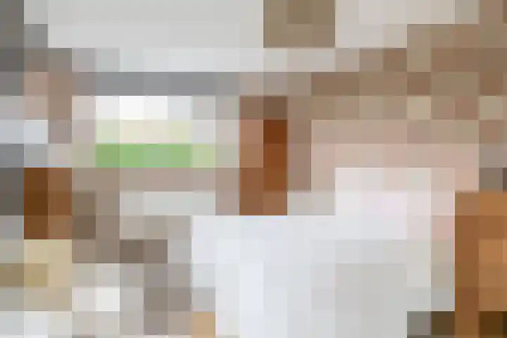 Nemelaerlaan 7 Spijkenisse thumbnail 46