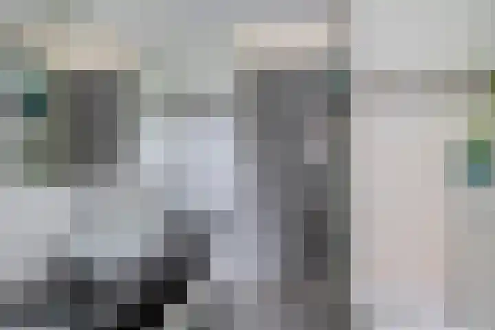 Nemelaerlaan 7 Spijkenisse thumbnail 48