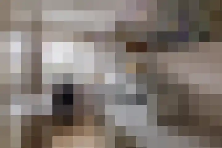 Nemelaerlaan 7 Spijkenisse thumbnail 50