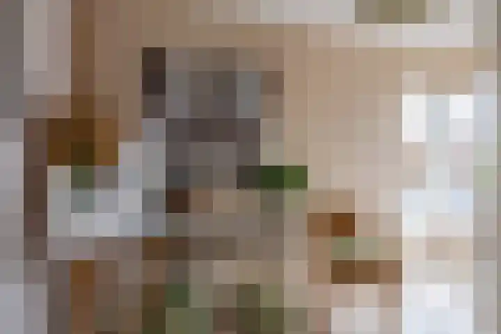 Nemelaerlaan 7 Spijkenisse thumbnail 52