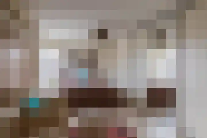 Nemelaerlaan 7 Spijkenisse thumbnail 53