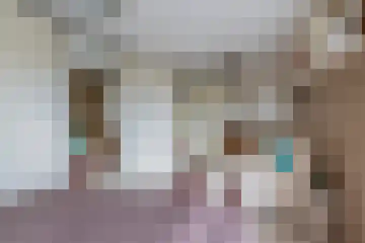 Nemelaerlaan 7 Spijkenisse thumbnail 54