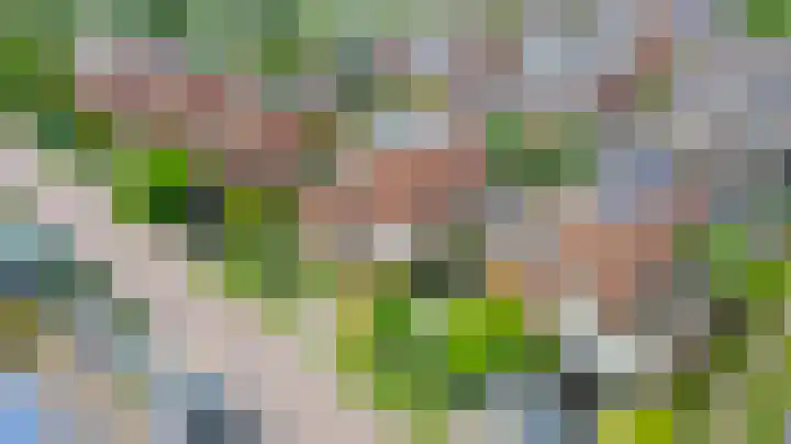 Nemelaerlaan 7 Spijkenisse thumbnail 55
