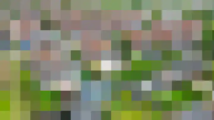 Nemelaerlaan 7 Spijkenisse thumbnail 56