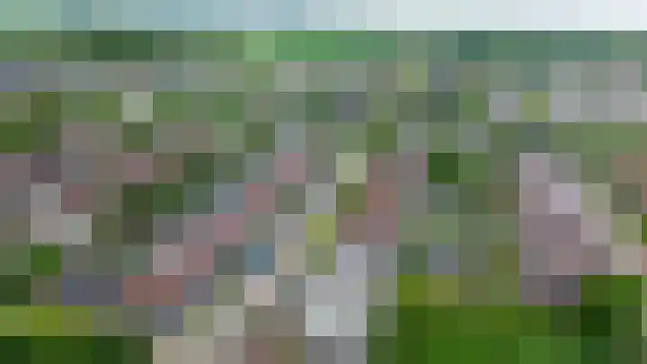 Nemelaerlaan 7 Spijkenisse thumbnail 58