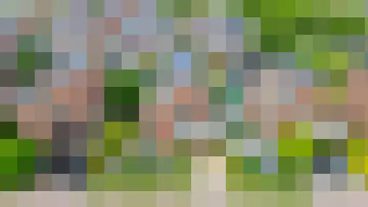 Nemelaerlaan 7 Spijkenisse thumbnail 6