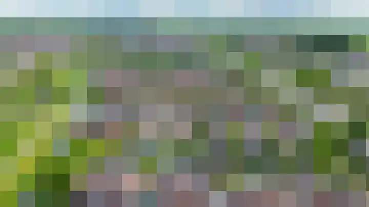Nemelaerlaan 7 Spijkenisse thumbnail 60