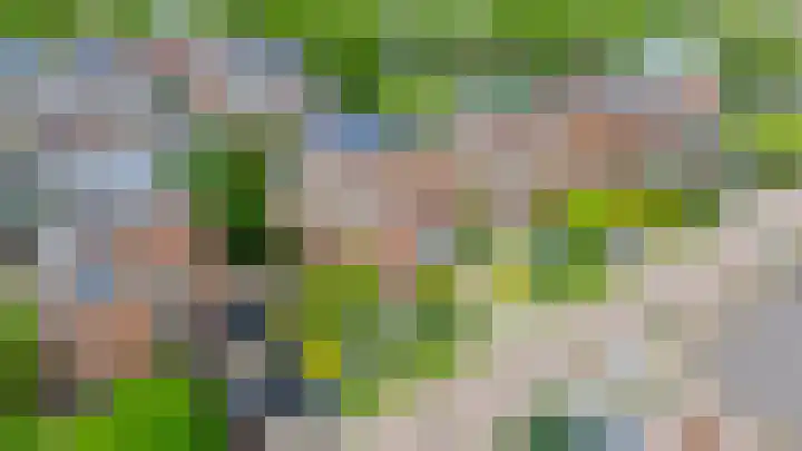 Nemelaerlaan 7 Spijkenisse thumbnail 73
