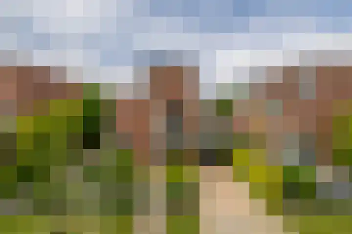 Nemelaerlaan 7 Spijkenisse thumbnail 8