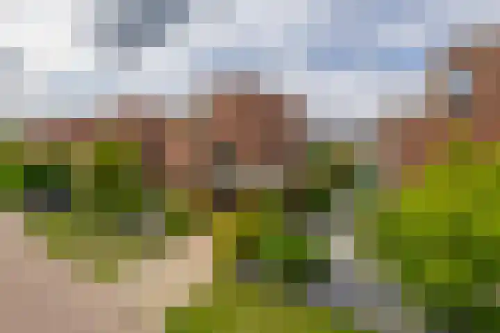 Nemelaerlaan 7 Spijkenisse thumbnail 9