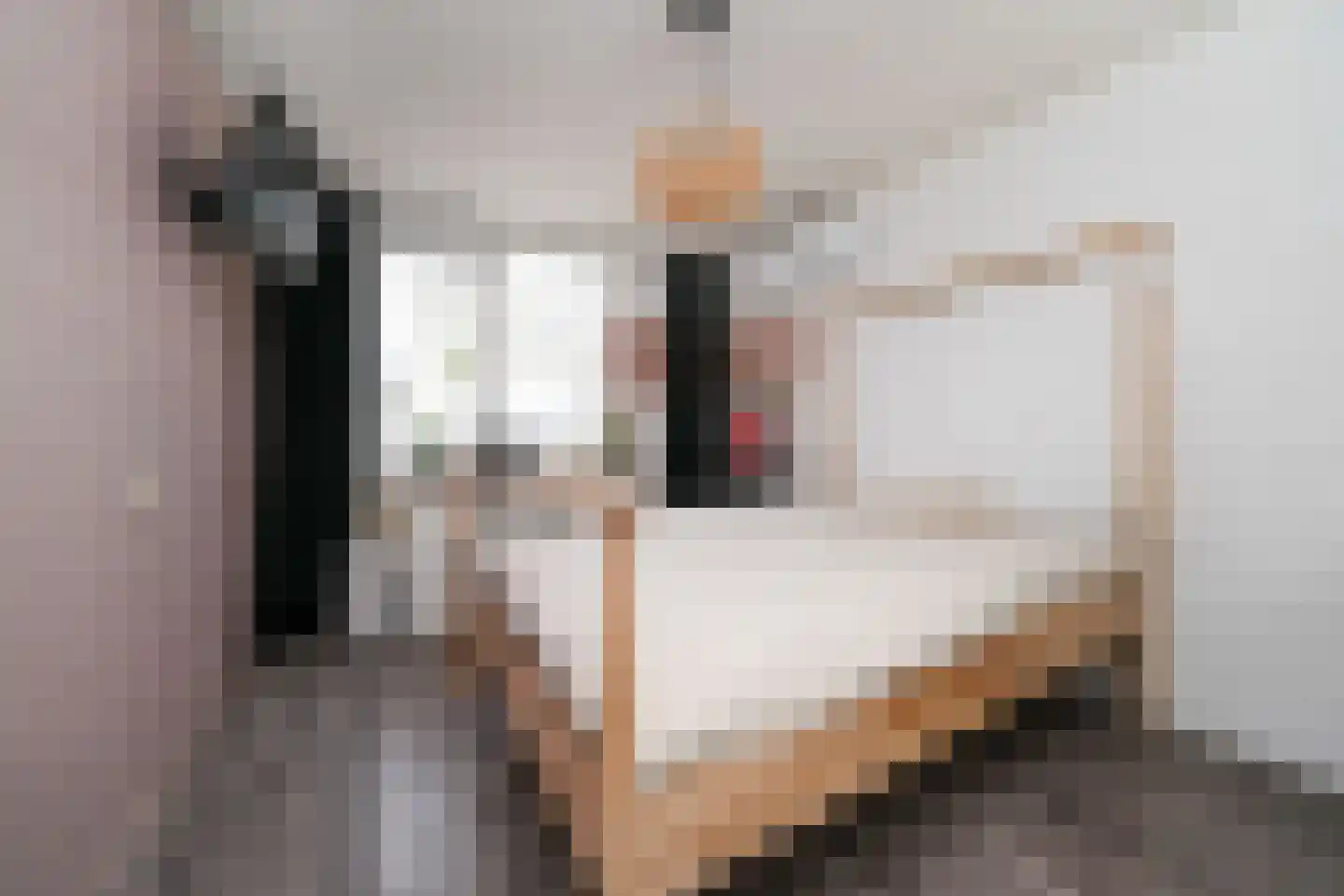 Nemelaersingel 39 Rotterdam thumbnail 16