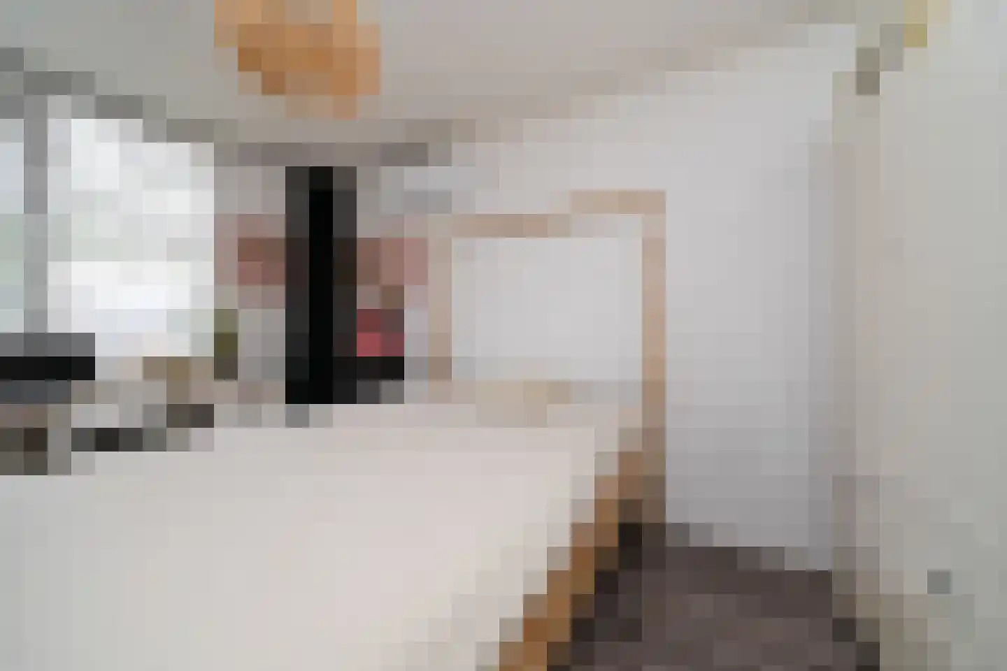 Nemelaersingel 39 Rotterdam thumbnail 17
