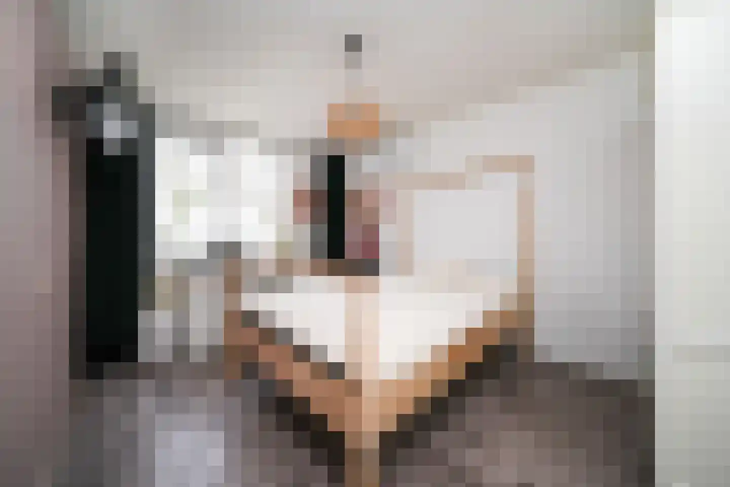 Nemelaersingel 39 Rotterdam thumbnail 18