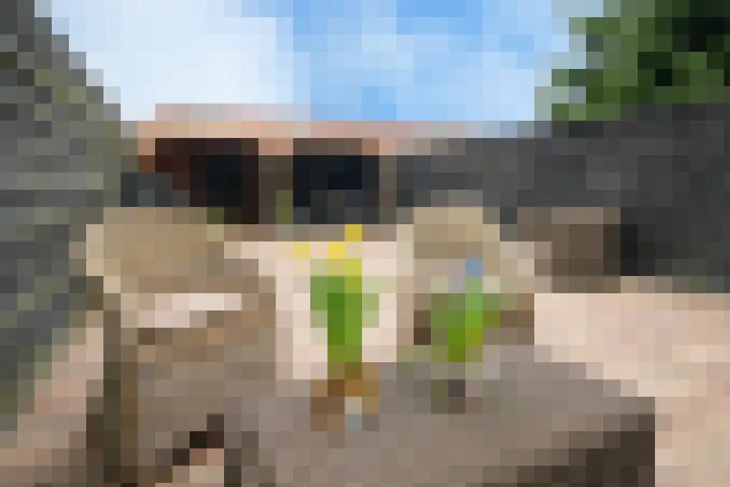 Nemelaersingel 39 Rotterdam thumbnail 28