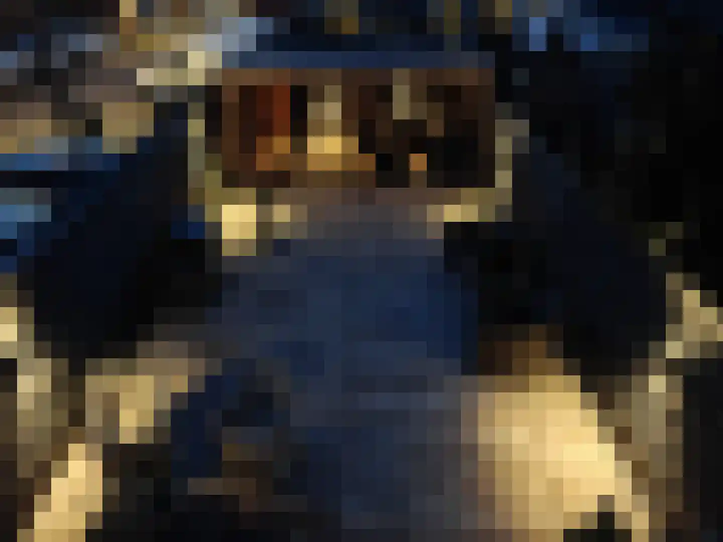 Nemelaersingel 39 Rotterdam thumbnail 34