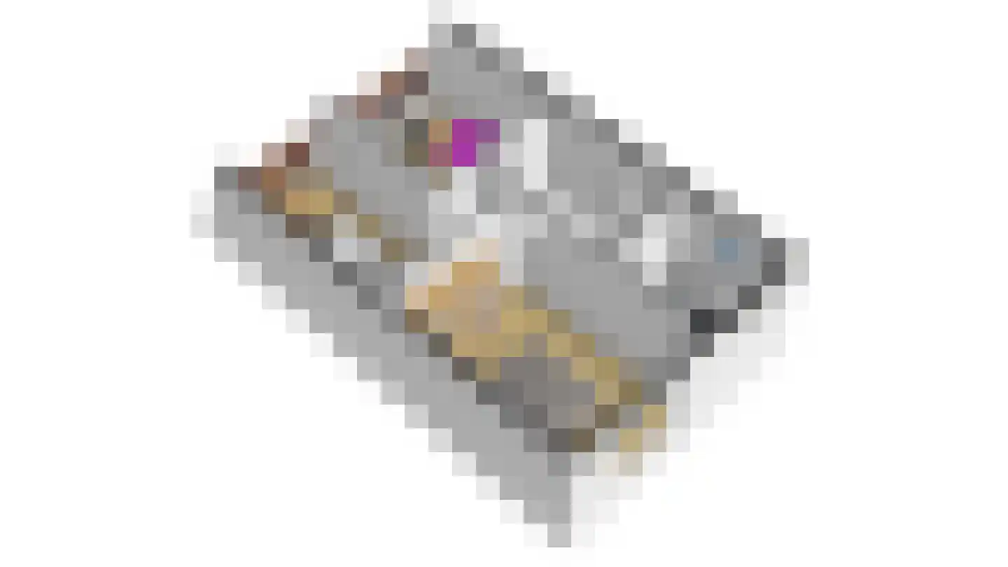 Nemelaersingel 39 Rotterdam thumbnail 37