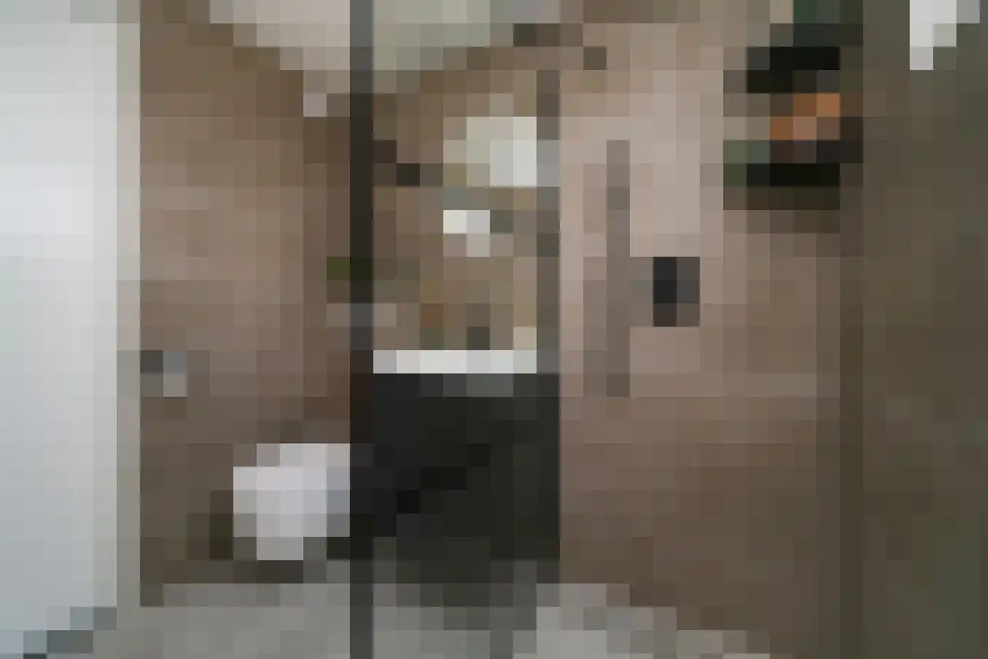 Nemelaersingel 39 Rotterdam thumbnail 4