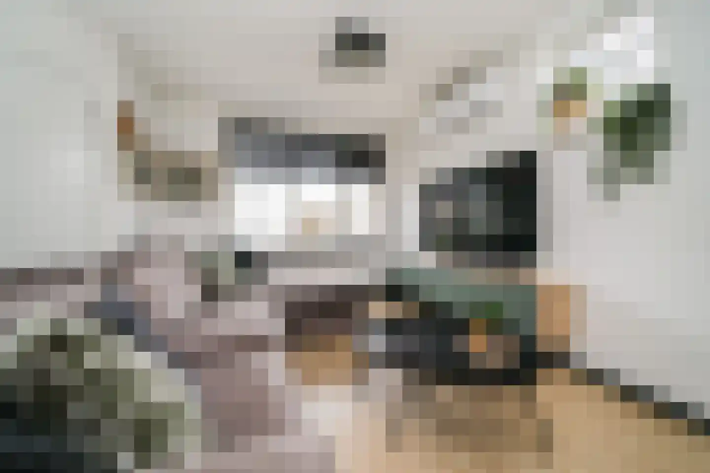 Nemelaersingel 39 Rotterdam thumbnail 8