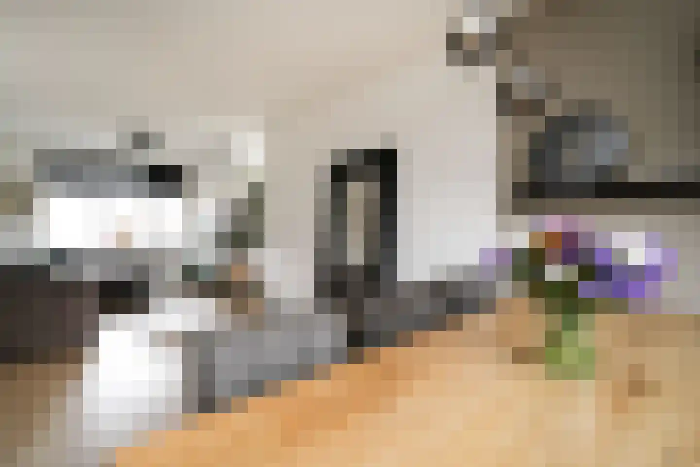 Nemelaersingel 39 Rotterdam thumbnail 9