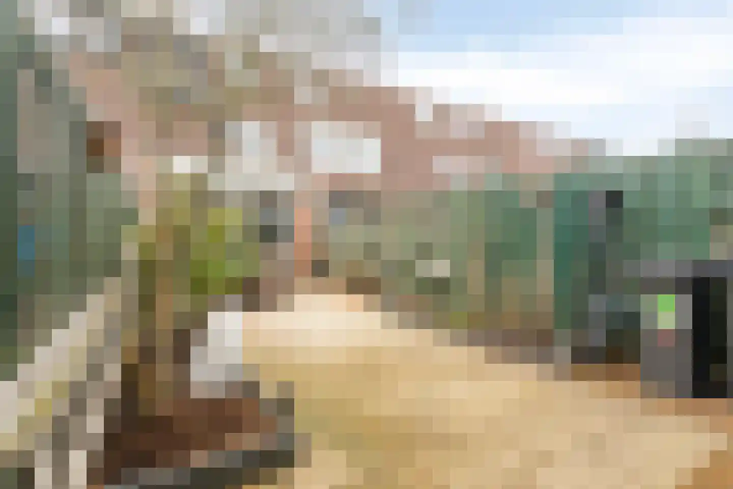 Nemelaersingel 40 Rotterdam thumbnail 33