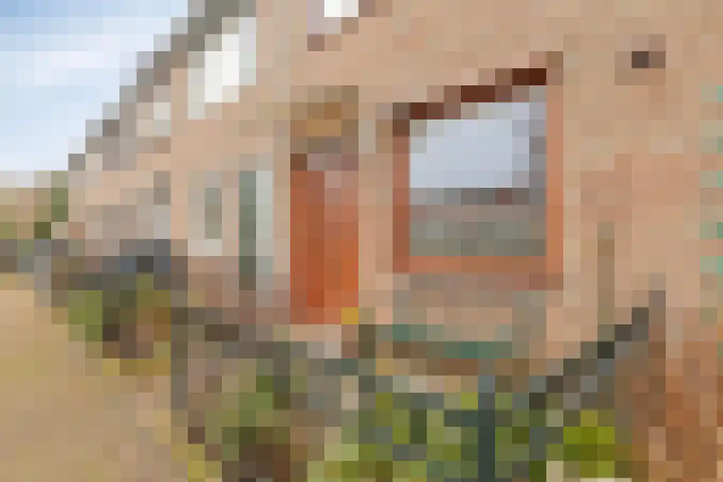 Nemelaersingel 40 Rotterdam thumbnail 6