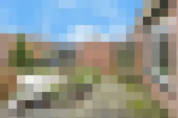 Nemelaersingel 49 Rotterdam thumbnail 21