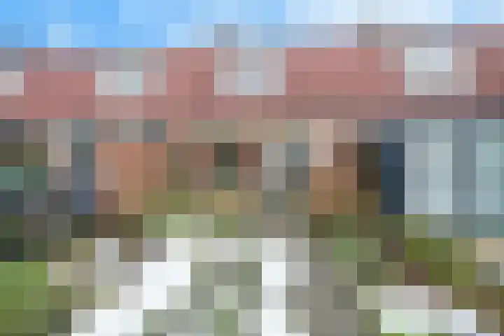 Nemelaersingel 49 Rotterdam thumbnail 23