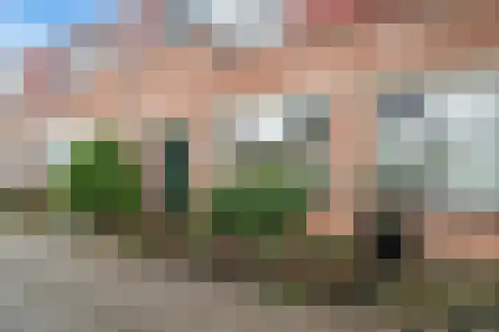 Nemelaersingel 49 Rotterdam thumbnail 25