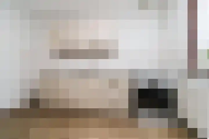 Nemelaersingel 49 Rotterdam thumbnail 4